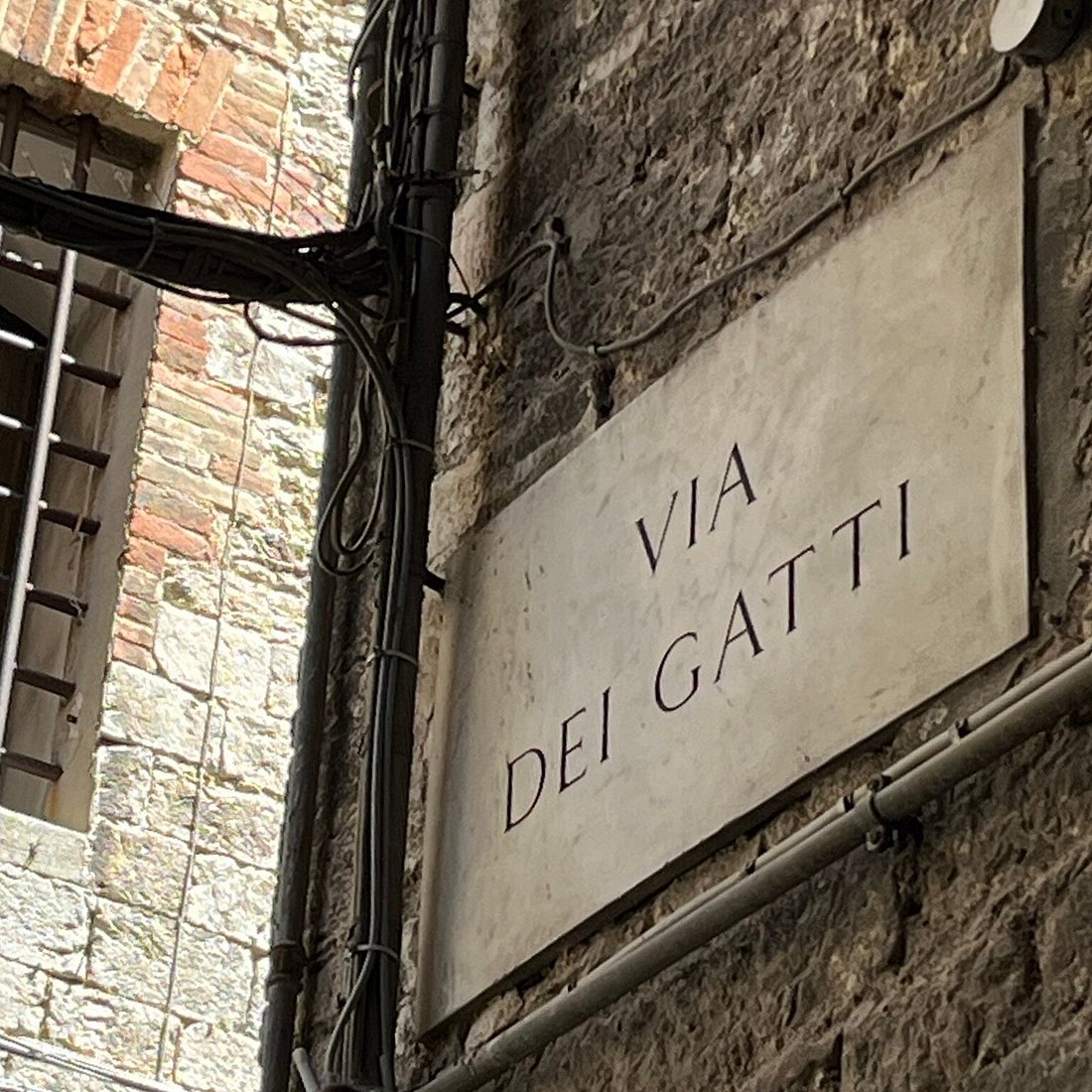 Piatto